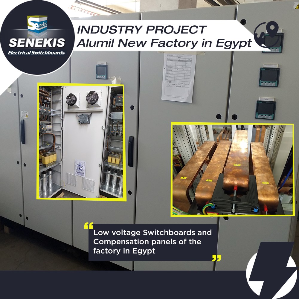 Industry Project in Egypt